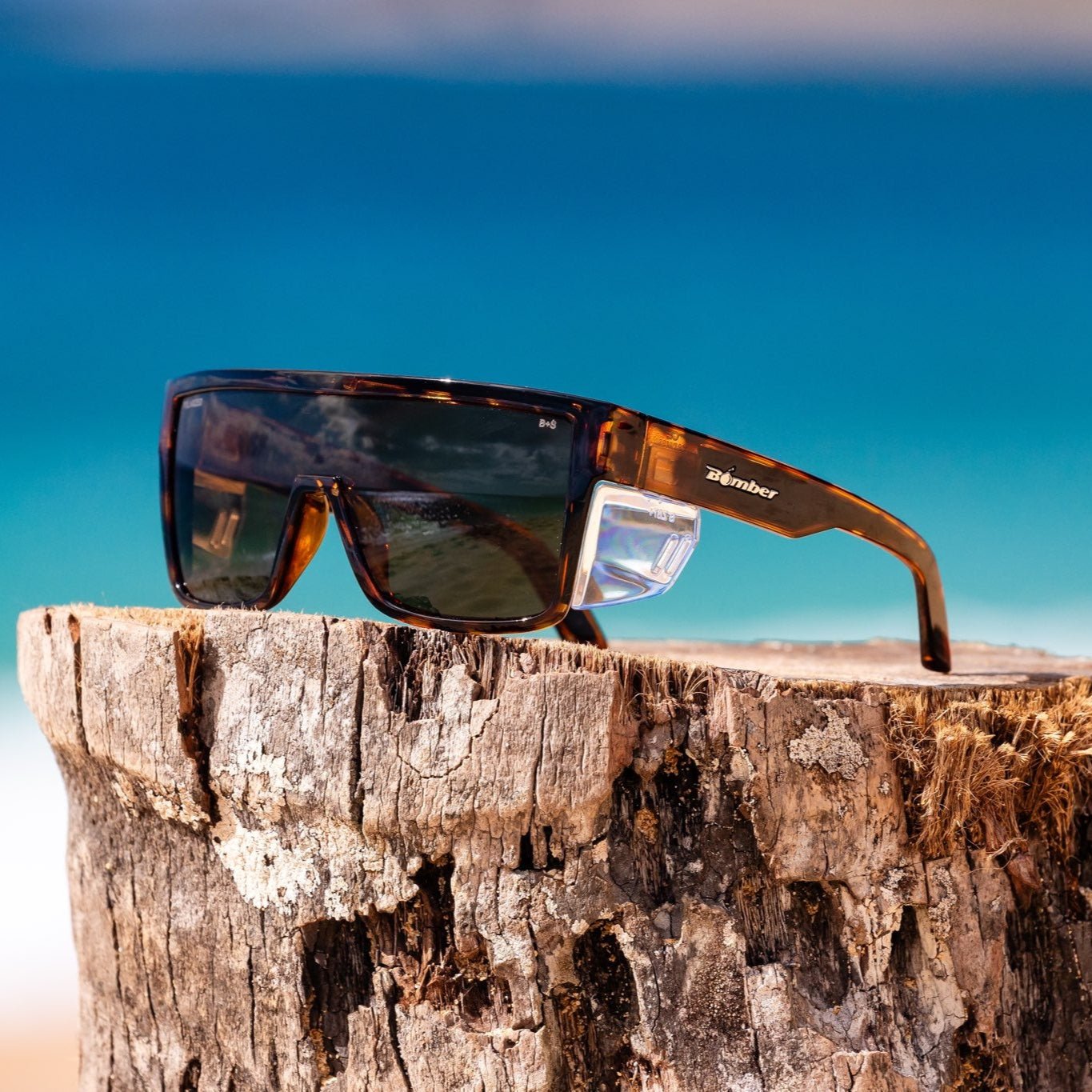 BUZZ Bomb Safety - Polarized Tortoise