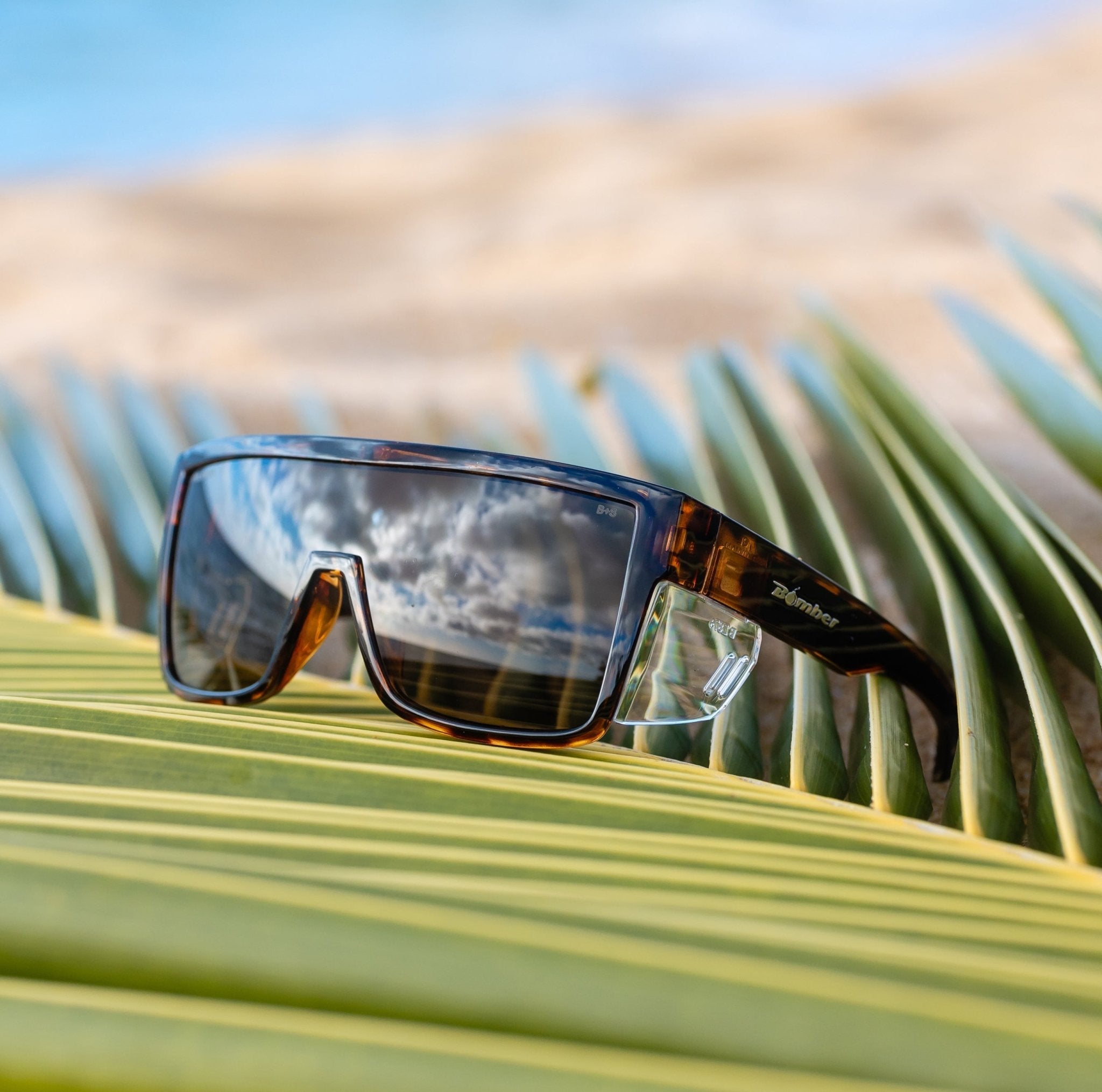 BUZZ Bomb Safety - Polarized Tortoise